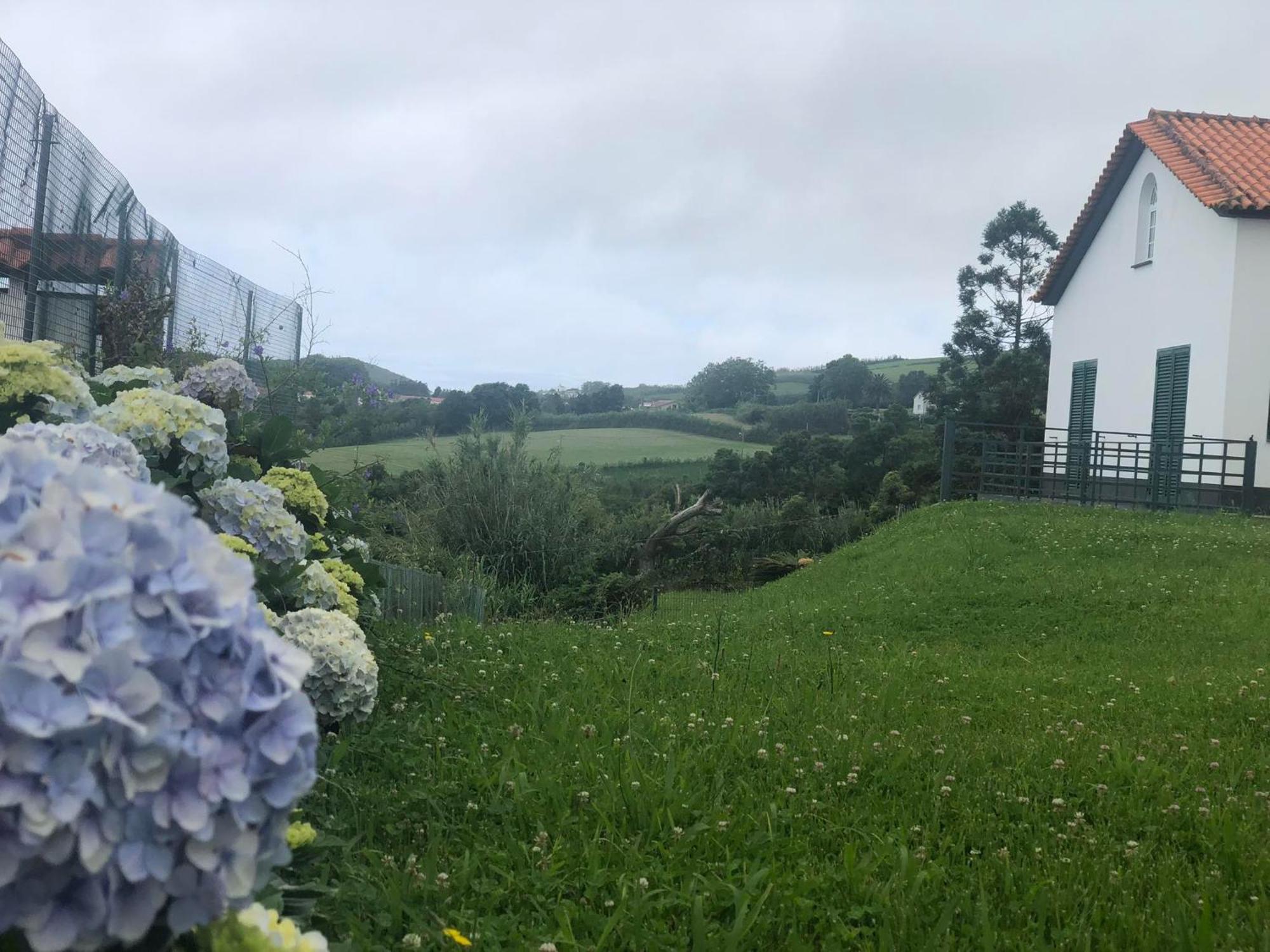 ポンタ・デルガダ Vivenda Florヴィラ エクステリア 写真
